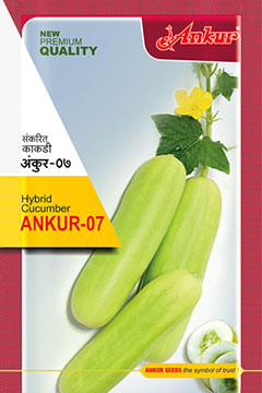 Hy Cucumber -7 [White] 